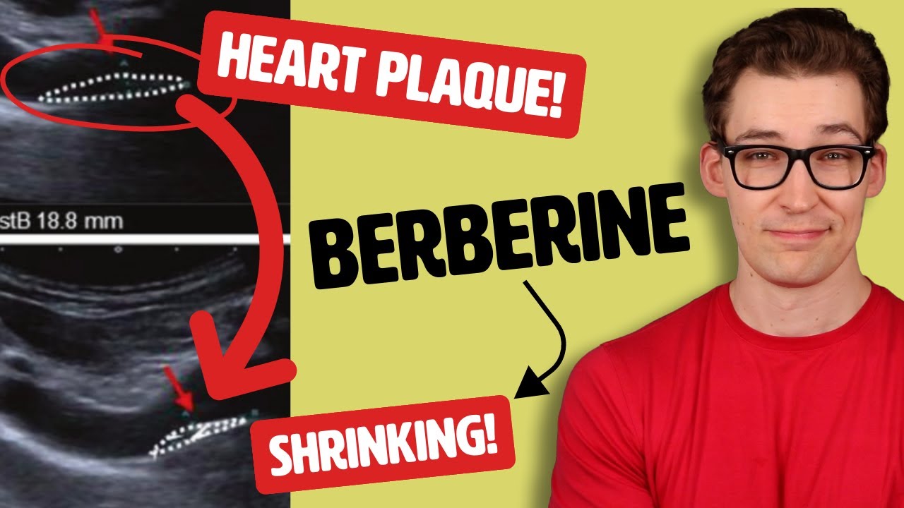 Berberine has potential to reduce or reverse heart disease