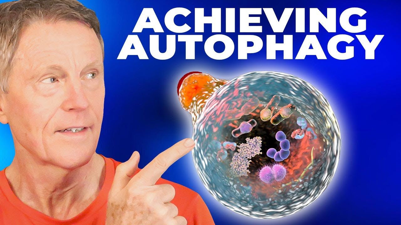 Reversing Arterial Plaque With Autophagy (part 2)
